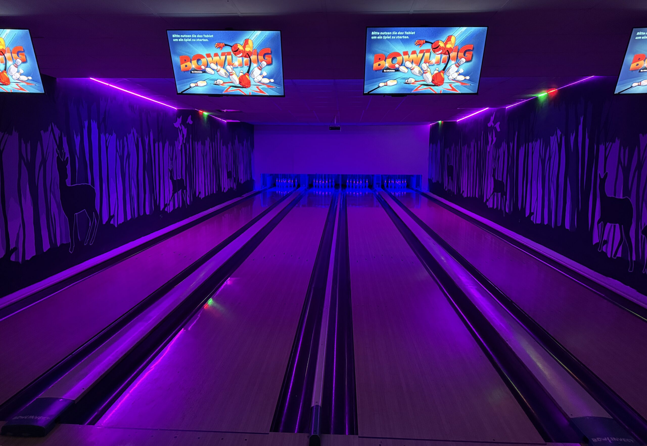 2024-10-21 14.30.5991